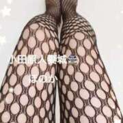 ヒメ日記 2025/12/09 11:10 投稿 ほのか 小田原人妻城