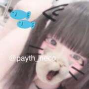 ヒメ日記 2025/03/01 17:25 投稿 のあ【１期生】 パイス