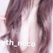 ヒメ日記 2025/04/11 18:25 投稿 のあ【１期生】 パイス