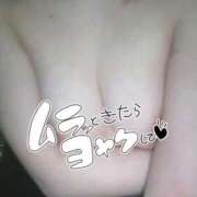 ヒメ日記 2025/04/16 20:45 投稿 るな【1期生】 パイス