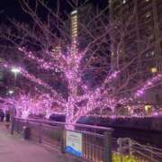 ヒメ日記 2024/12/09 20:35 投稿 りま ハニープラザ（ユメオト）