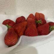 ヒメ日記 2025/04/23 14:07 投稿 りま ハニープラザ（ユメオト）