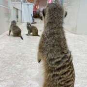 ヒメ日記 2025/05/14 14:52 投稿 りま ハニープラザ（ユメオト）