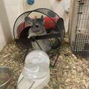 ヒメ日記 2025/05/14 20:15 投稿 りま ハニープラザ（ユメオト）