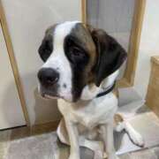 ヒメ日記 2025/05/22 14:37 投稿 りま ハニープラザ（ユメオト）