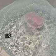 ヒメ日記 2025/04/16 02:11 投稿 ゆん luxury spa 風雅