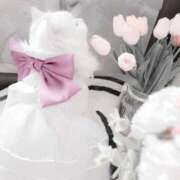 ヒメ日記 2025/09/17 18:15 投稿 ゆん luxury spa 風雅