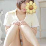 神田みどり [お題]from:purinさん なめこ治療院（横浜ハレ系）