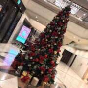 ヒメ日記 2024/12/19 19:04 投稿 のい【Gカップ濃厚テク美女】 STELLA TOKYO－ステラトウキョウ－