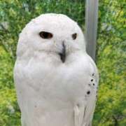 ヒメ日記 2025/08/28 22:59 投稿 ねる G-SCANDAL