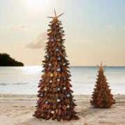 ヒメ日記 2024/12/22 08:45 投稿 水川星名 プレジデントハウス