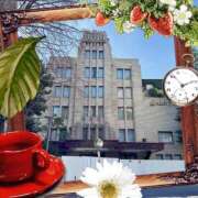 ヒメ日記 2025/03/18 07:30 投稿 水川星名 プレジデントハウス