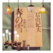 ヒメ日記 2025/03/29 08:30 投稿 水川星名 プレジデントハウス