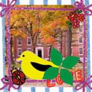 ヒメ日記 2025/05/28 07:30 投稿 水川星名 プレジデントハウス