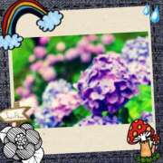 ヒメ日記 2025/06/10 12:01 投稿 水川星名 プレジデントハウス