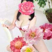 ヒメ日記 2025/06/18 22:49 投稿 水川星名 プレジデントハウス