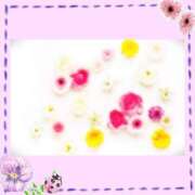 ヒメ日記 2025/06/29 08:30 投稿 水川星名 プレジデントハウス