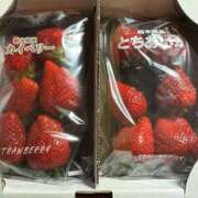 ヒメ日記 2025/07/12 10:19 投稿 水川星名 プレジデントハウス