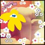 ヒメ日記 2025/07/25 07:30 投稿 水川星名 プレジデントハウス