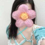 ヒメ日記 2025/07/30 07:30 投稿 水川星名 プレジデントハウス