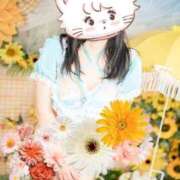 ヒメ日記 2025/09/06 08:58 投稿 水川星名 プレジデントハウス