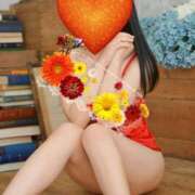 ヒメ日記 2025/09/09 20:10 投稿 水川星名 プレジデントハウス