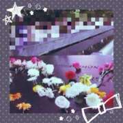 ヒメ日記 2025/09/11 18:33 投稿 水川星名 プレジデントハウス