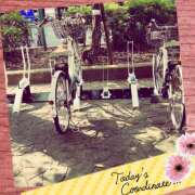 ヒメ日記 2025/11/04 07:45 投稿 水川星名 プレジデントハウス