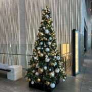 ヒメ日記 2025/11/12 17:55 投稿 水川星名 プレジデントハウス