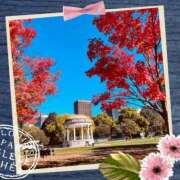 ヒメ日記 2025/11/15 08:15 投稿 水川星名 プレジデントハウス