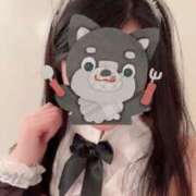 ヒメ日記 2025/11/17 07:30 投稿 水川星名 プレジデントハウス