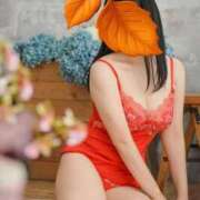 ヒメ日記 2025/11/18 07:30 投稿 水川星名 プレジデントハウス