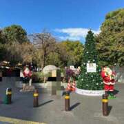 ヒメ日記 2025/11/19 20:20 投稿 水川星名 プレジデントハウス