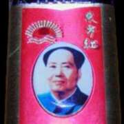 ヒメ日記 2025/11/29 08:30 投稿 水川星名 プレジデントハウス