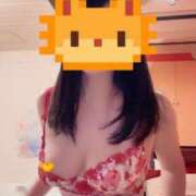 ヒメ日記 2025/11/30 14:19 投稿 水川星名 プレジデントハウス