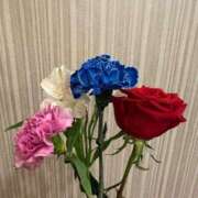 ヒメ日記 2025/12/01 07:30 投稿 水川星名 プレジデントハウス