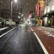 ヒメ日記 2026/01/03 08:30 投稿 水川星名 プレジデントハウス