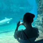 ヒメ日記 2025/12/13 11:08 投稿 めあ MAHARAJA(マハラジャ)千葉