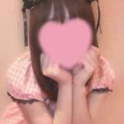 ヒメ日記 2025/04/19 11:57 投稿 るる 新潟デリヘル倶楽部