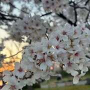 るる 楽しみ🌸 新潟デリヘル倶楽部