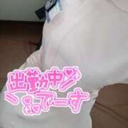 ヒメ日記 2025/02/07 17:23 投稿 あおい 熊本しこたまクリニック