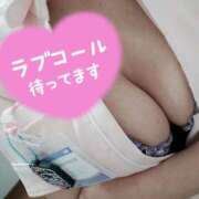 ヒメ日記 2025/02/08 15:13 投稿 あおい 熊本しこたまクリニック