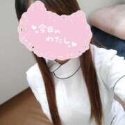 ヒメ日記 2025/02/22 22:23 投稿 あおい 熊本しこたまクリニック