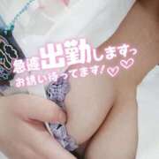 ヒメ日記 2025/03/07 10:03 投稿 あおい 熊本しこたまクリニック