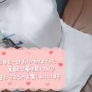 ヒメ日記 2025/03/18 23:53 投稿 あおい 熊本しこたまクリニック