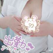 ヒメ日記 2025/03/19 14:43 投稿 あおい 熊本しこたまクリニック