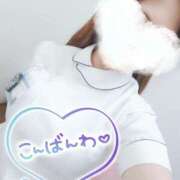 ヒメ日記 2025/04/17 19:20 投稿 あおい 熊本しこたまクリニック