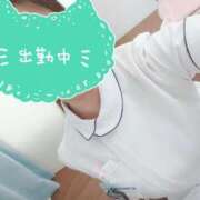 ヒメ日記 2025/04/18 18:20 投稿 あおい 熊本しこたまクリニック