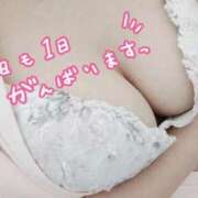 ヒメ日記 2025/04/26 15:50 投稿 あおい 熊本しこたまクリニック