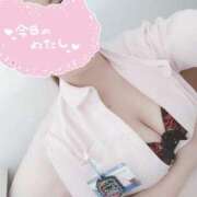 ヒメ日記 2025/05/03 12:20 投稿 あおい 熊本しこたまクリニック